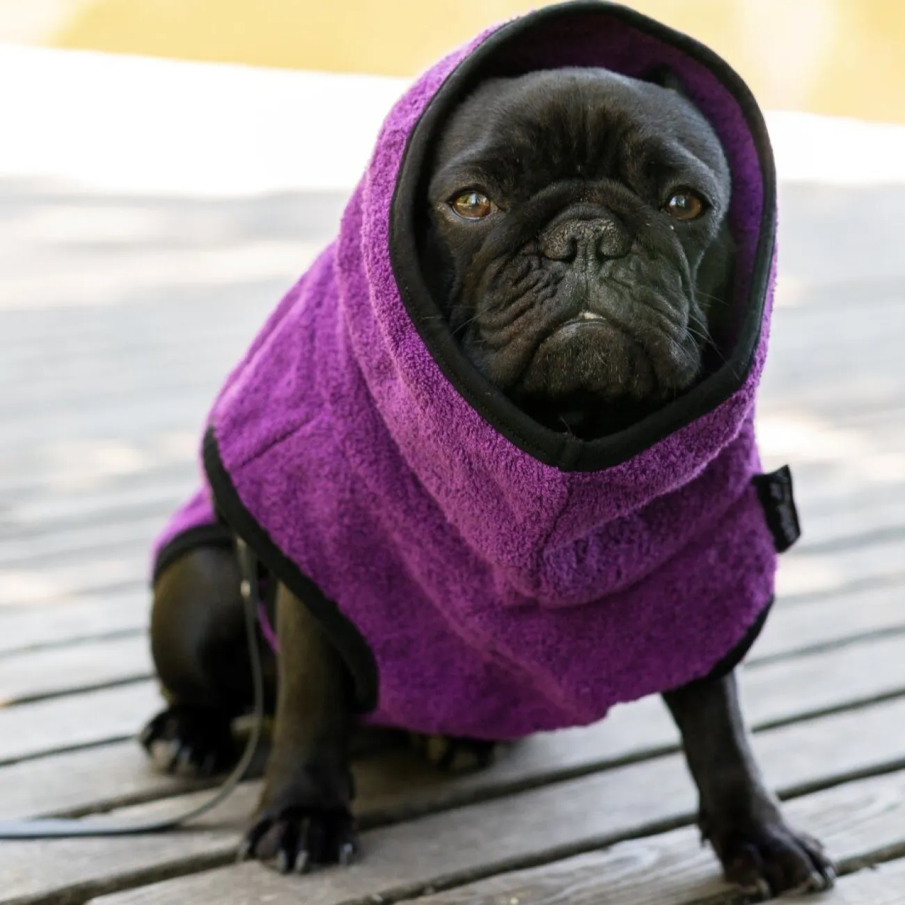 ActionFactory Ungezieferschutz | Pflegeprodukte Für Hunde- fit4dogs DryUp Cape Trockenmantel für Mops und Co