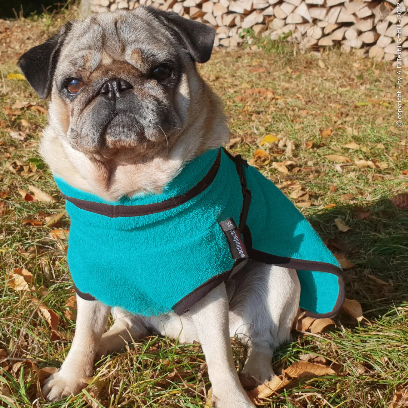 ActionFactory Ungezieferschutz | Pflegeprodukte Für Hunde- fit4dogs DryUp Cape Trockenmantel für Mops und Co