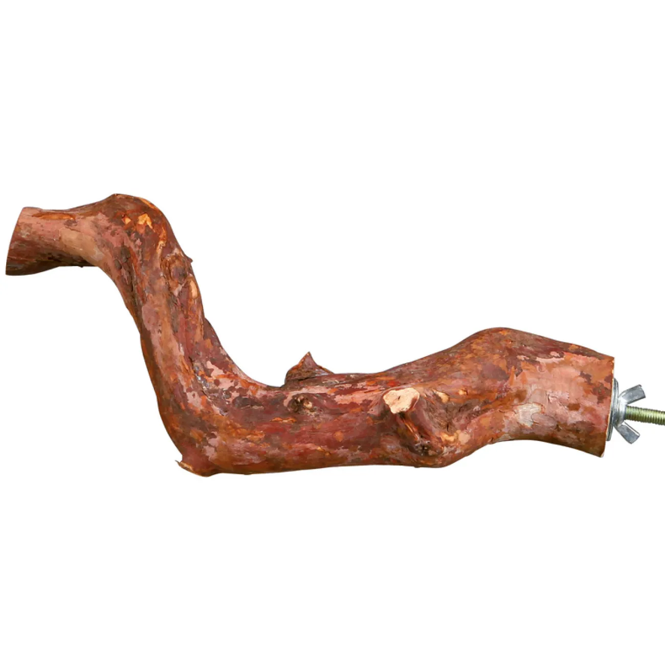 TRIXIE Vogelkäfig-Zubehör | Vogelkäfig Zubehör- Sitzstange Liane für Vogelkäfig